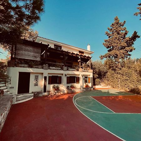 Villa Eleni Kaap Soenion Buitenkant foto